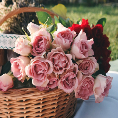 Conheça o significado de oferecer o número certo de flores!