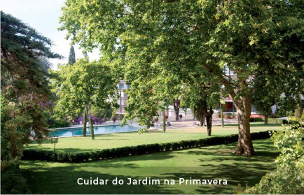 Cuidar do Jardim na Primavera