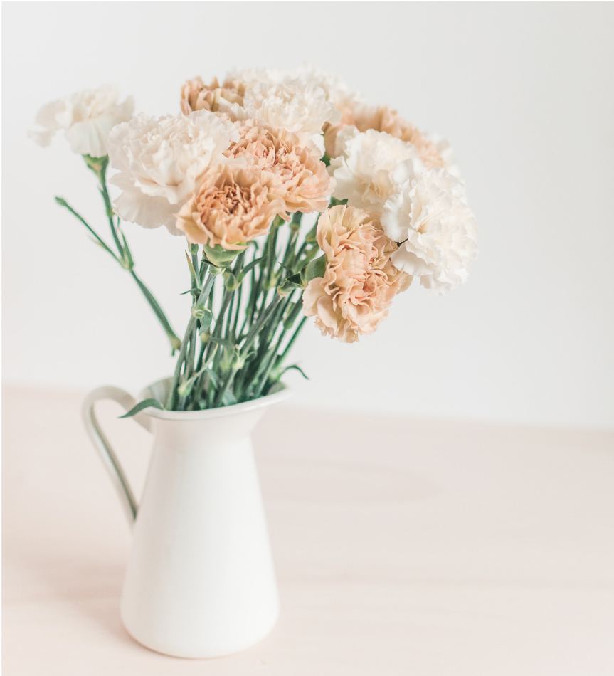 Cores e Flores para Mães Felizes