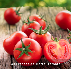 Os frescos do Horto: Tomate