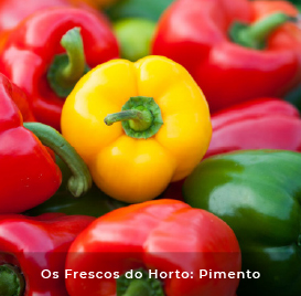 Os frescos do Horto: Pimento