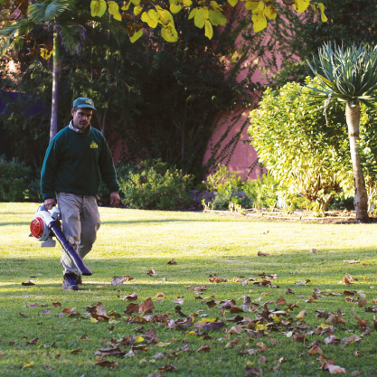 Manutenção de jardins: espaços bonitos e bem cuidados