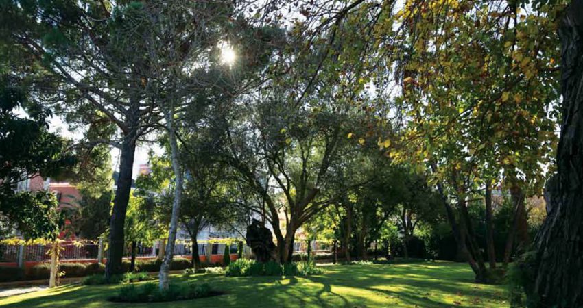 Horto do Campo Grande - Manutenção de espaços verdes