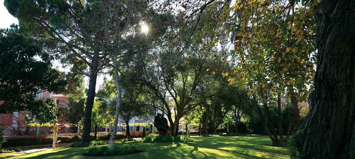 Horto do Campo Grande - Manutenção de espaços verdes