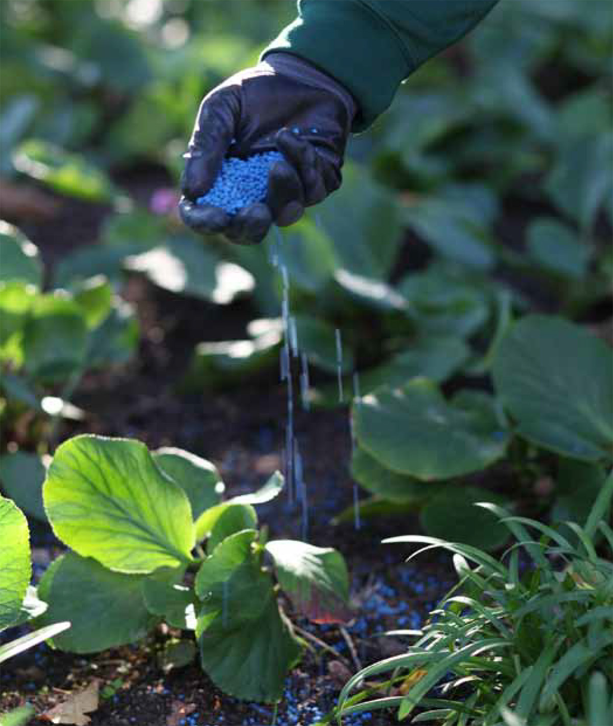 Horto do Campo Grande - Manutenção de Espaços Verdes