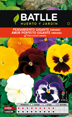 Horto do Campo Grande - Amor Perfeito - Flores