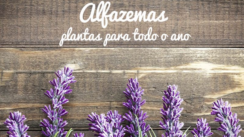 alfazemas