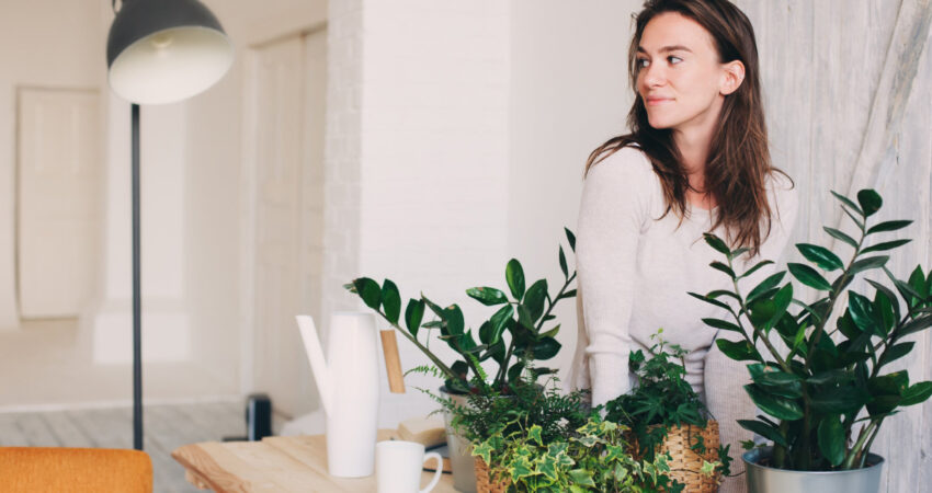 Cuidar de plantas é um desafio? Descubra 5 opções de fácil manutenção