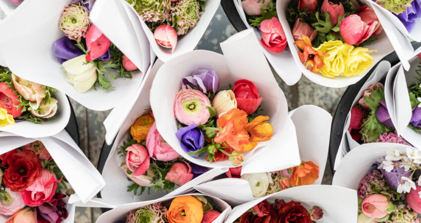 Cores e Flores para Mães Felizes