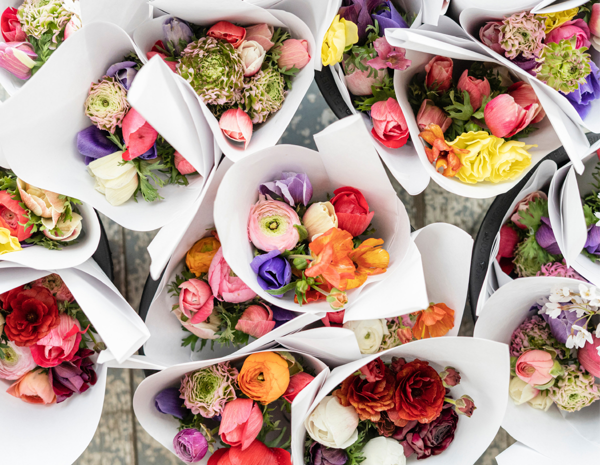 Cores e Flores para Mães Felizes