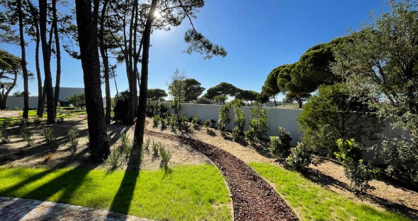 Horto do Campo Grande: Soluções para espaços verdes de interior ou exterior￼