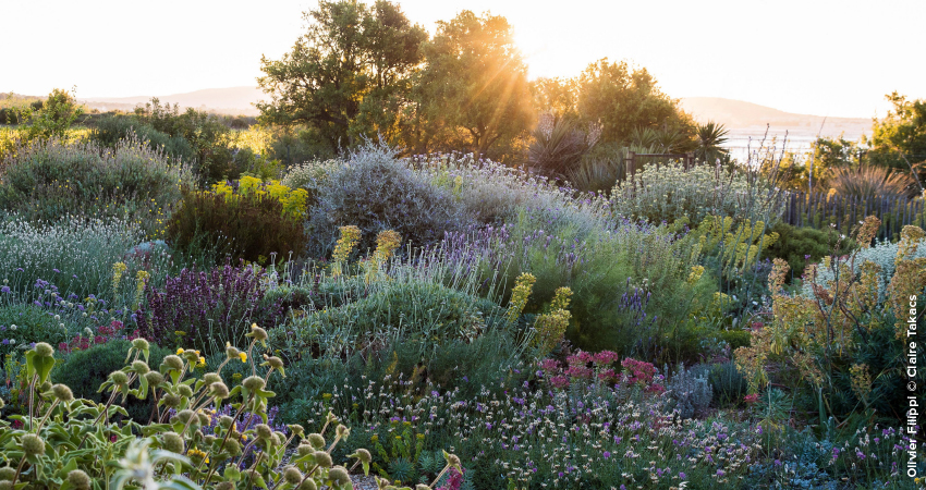 Refúgio Mediterrânico – Um oásis no seu jardim